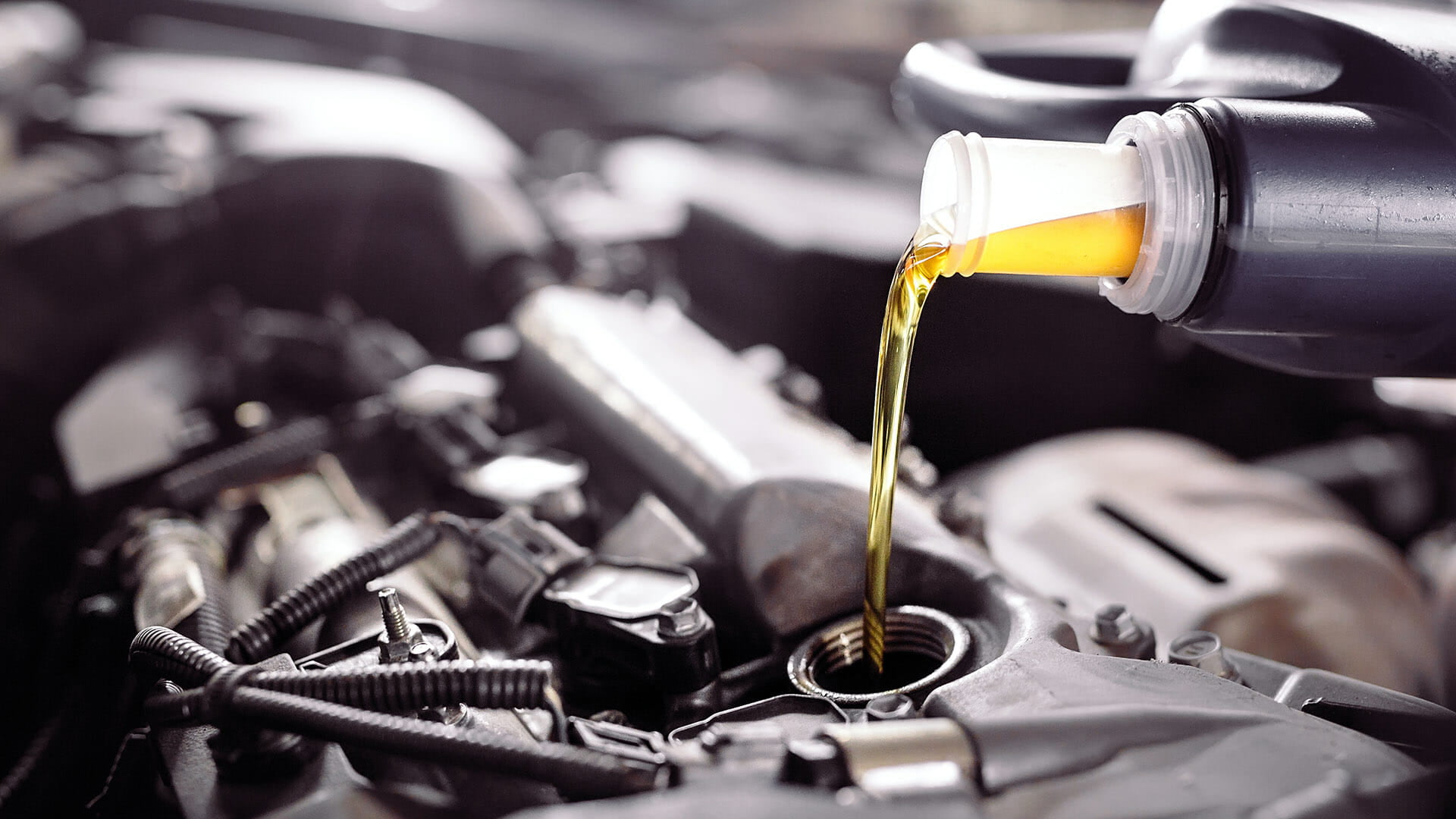 Danville WV ford oil change coupons near me | Ford Service Coupon